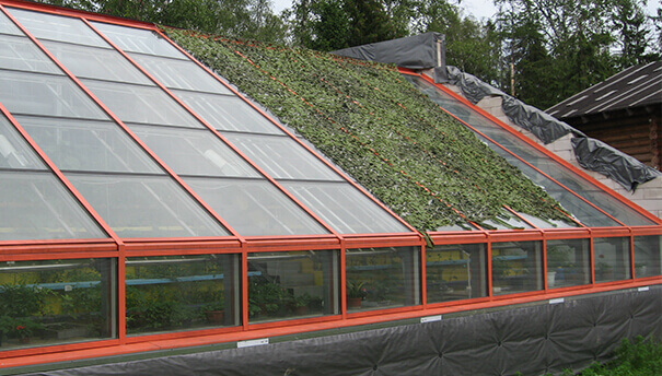 Биоэнергетический комплекс